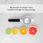 Gold Citrus Juicer